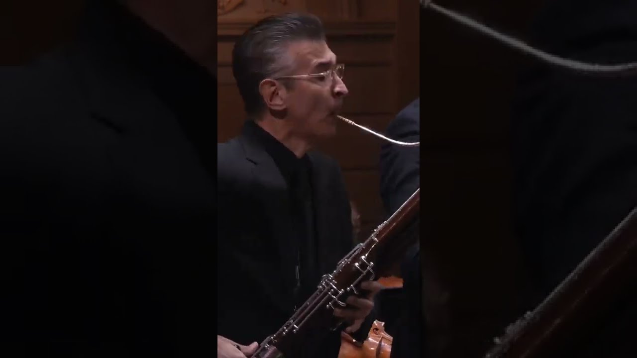Gustavo nunez bassoon best sale