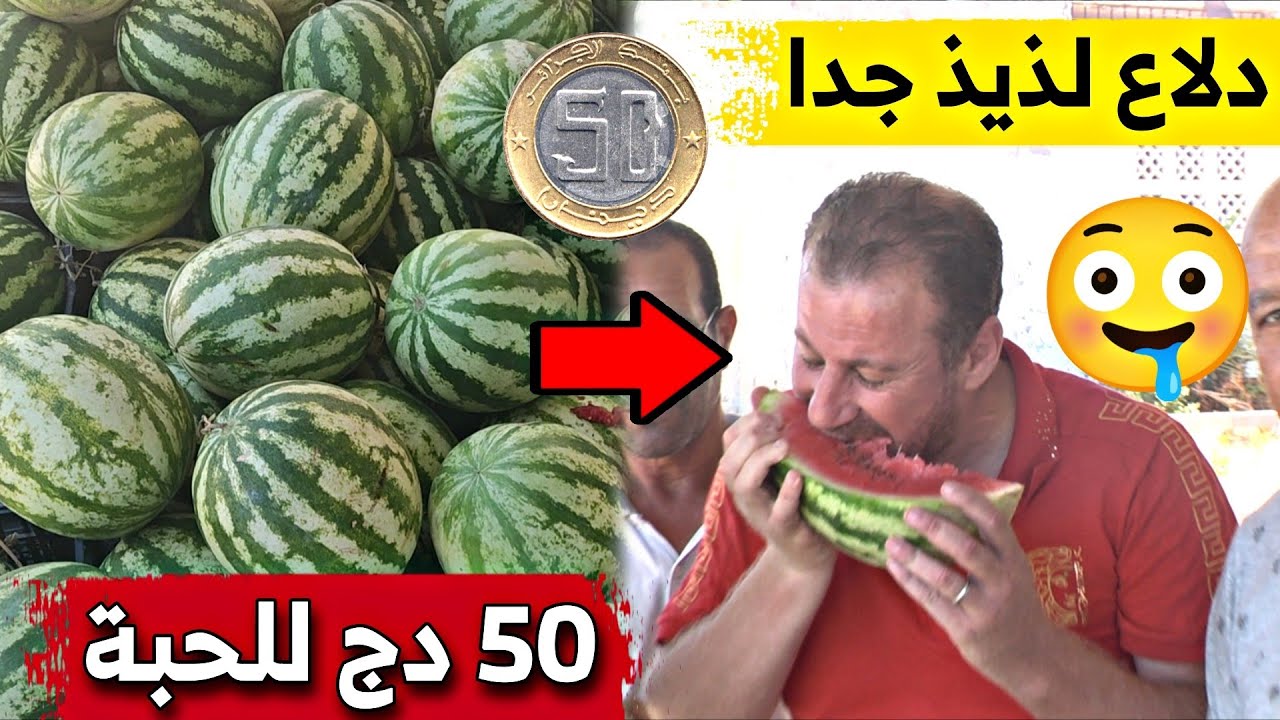 دلاع بني بلعيد بولاية جيجل .. أشهر و ألذ دلاع في الجزائر .. شاهدوا