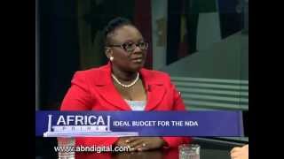 Dr Vuyelwa Nhlapo, CEO of National Development Agency - Part 1