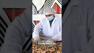 INARSAC brinda oportunidades de empleo y regenera los bosques.
