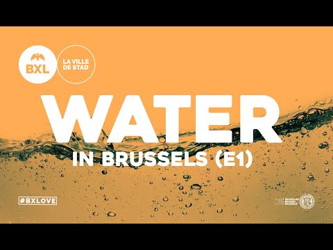 Water management in Brussels - Episode 1: The Water Under Our Feet