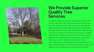 Top Rated Tree Service Provider in Kalamazoo, MI | Perkins Lawn Care