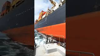 Download Mp3 Mera dil bhi kitna pagal hai πππ’              #youtube #youtubeshort #sea #sailor #ship #viralvideo Gudang lagu Download Mp3 Mera dil bhi kitna pagal hai πππ’              #youtube #youtubeshort #sea #sailor #ship #viralvideo