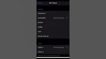 Indian Siri Accent Meme 