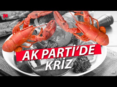 Ak Parti'de Istakoz Krizi