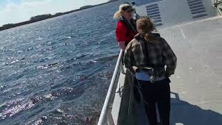 SCDNR Landing Craft for South Carolina Department of Natural Resources on maiden test run.