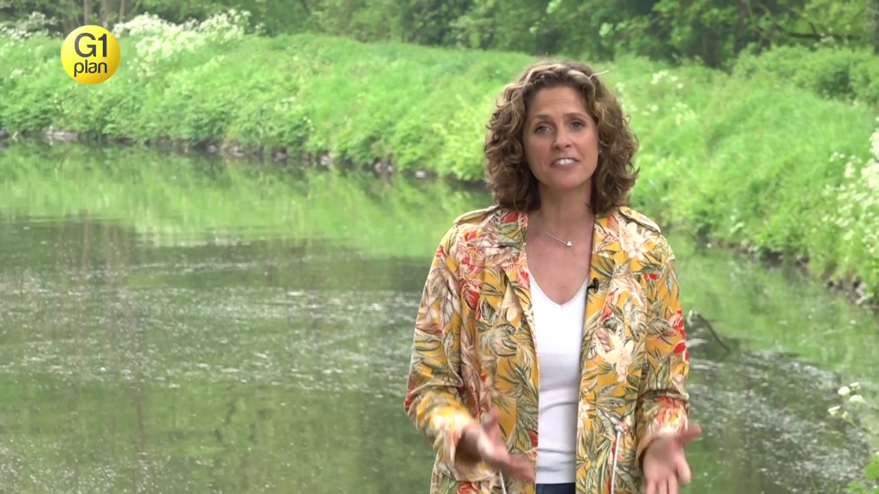 G1Plan -  Primes Habitation - 2019