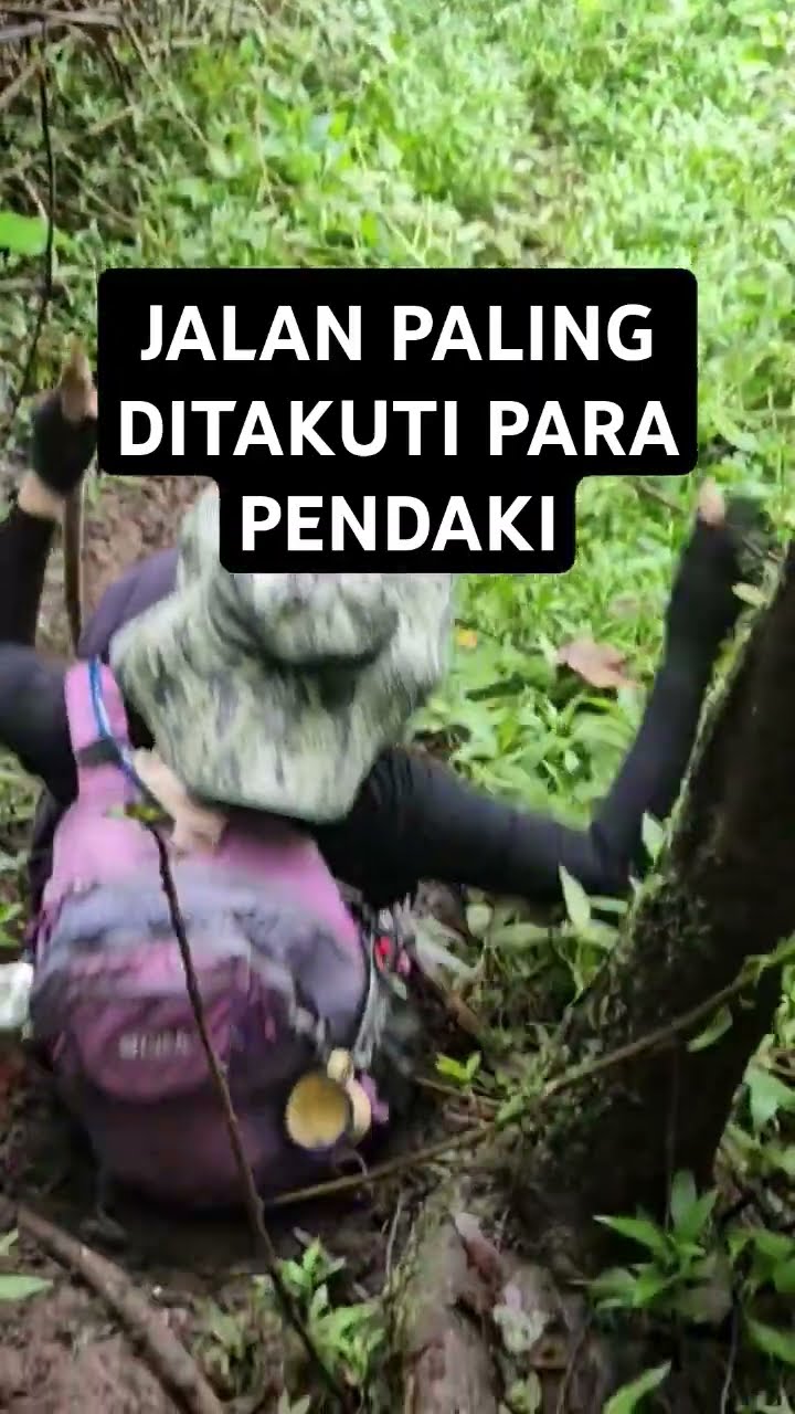 100% BAHAYA SIAGA 1