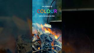 The Power of Colour with Dehancer Pro
