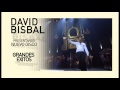 DAVID BISBAL - En concierto en el Estadio Ferro - Argentina