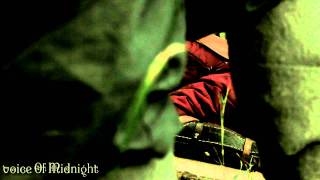 VOICE OF MIDNIGHT - Bifrost (teaser)