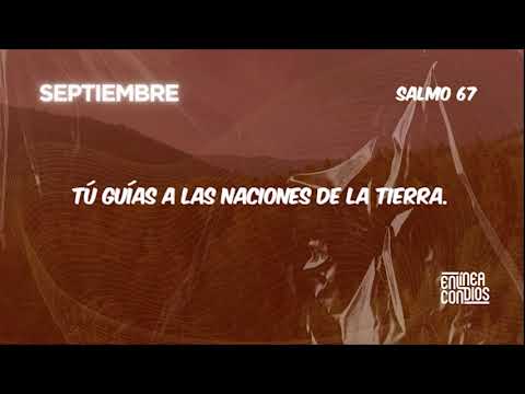 Día 11 - Oración de David para la bendición