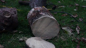 How-to Use A Reciprocating Saw And A Pruning Blade To Cut And Carve Wood Tutorial