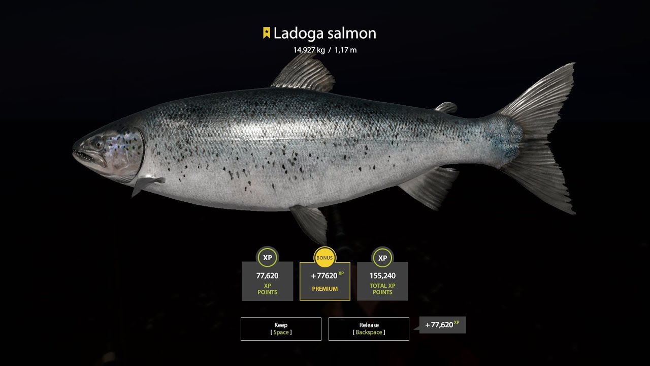 RF4 - Trophy Ladoga Salmon - 14,927kg