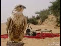 ليالي السود عذبن قلبي وألمني عتابا ساحلية حزينة حالات واتس اب ليالي السود عذبن قلبي وألمني عتابا ساحلية حزينة حالات واتس اب