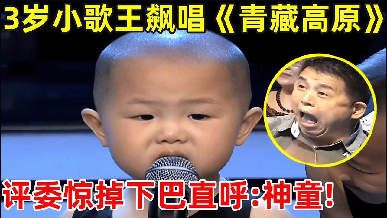 3岁小小歌王唱《青藏高原》,一开嗓评委惊掉下巴!直呼:神童啊【家有小明星】