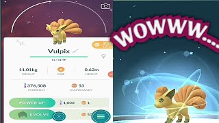 Shiny vulpix evlove to shiny ninetales | Pokemon Go
