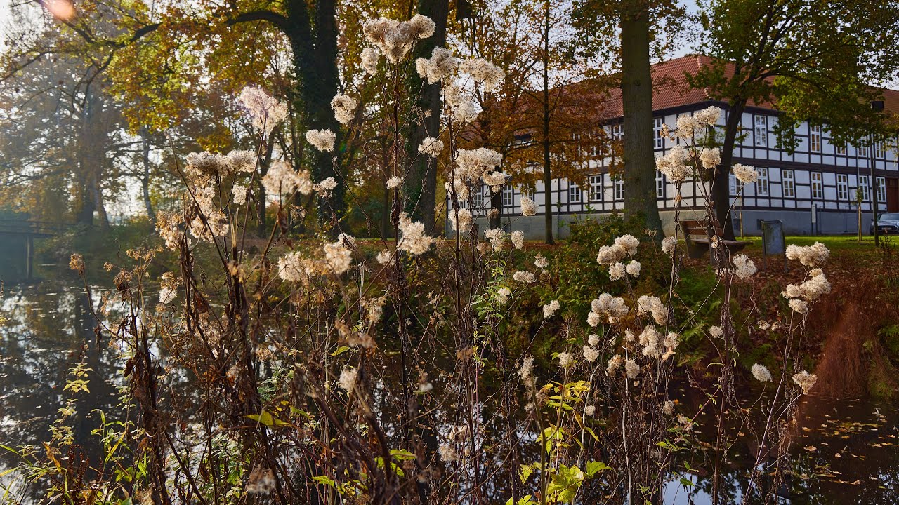 Harpstedt und die Brücke über den Ozean