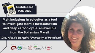 Melt inclusions in eclogites as a tool to investigate mantle metasomatism and deep carbon cycle