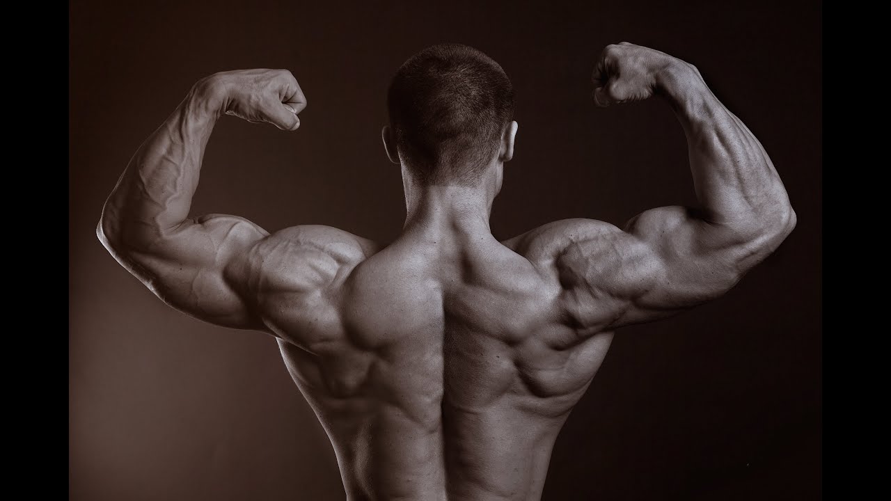 The Perfect Food for Athletes