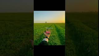 Shaayaron Se Lafz Leke 🤌💖 Love Me Thoda Aur