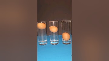 The Science of Floating an Egg (and Why It Fails)