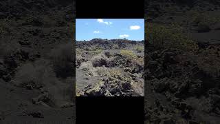 DMSP #lanzarote