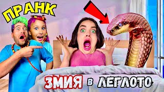 ОТМЪЩЕНИЕ! ПРАНК: ЗМИЯ в ЛЕГЛОТО! СТЕЛА ОТКАЧИ 🤣