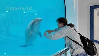 Дельфины довели до слез... Каков дельфин на ощупь?