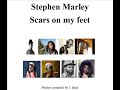 Stephen Marley   Scars on my feet