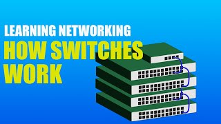 How Network Switches Work: Network+ and CCNA Concepts