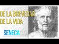 Séneca - De la Brevedad de la Vida (Audiolibro completo en español) Voz Real