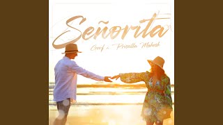 Download Lagu Señorita Download Lagu Señorita
