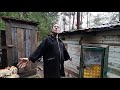 russian hermit lives in a forest cabin for 9 years! no electricity no bills...