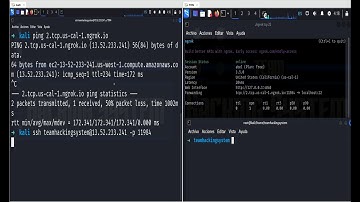 conexión ssh con ngrok en Kali linux