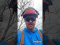 Giant Sycamore Pruning to Protect the Property | Des Moines