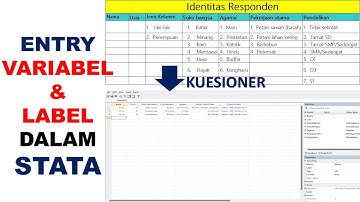 📋STATA: ENTRI VARIABEL DAN LABEL ( FULL SET KUESIONER)