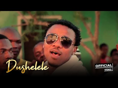 Alikiba - Dushelele (Official Music Video)