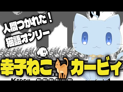 ねこになったのでねこ語しか話せません。初代星のカービィRTAするにゃ！！！！