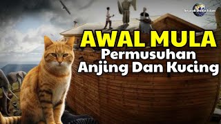 KARNA ANJING GAK TAHAN BERSETUBUH, Awal Mula Permusuhan Anjing dan Kucing || Sejarah Islam