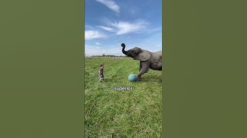 I took the pill from the limitless movie for two weeks and this happened... #shorts