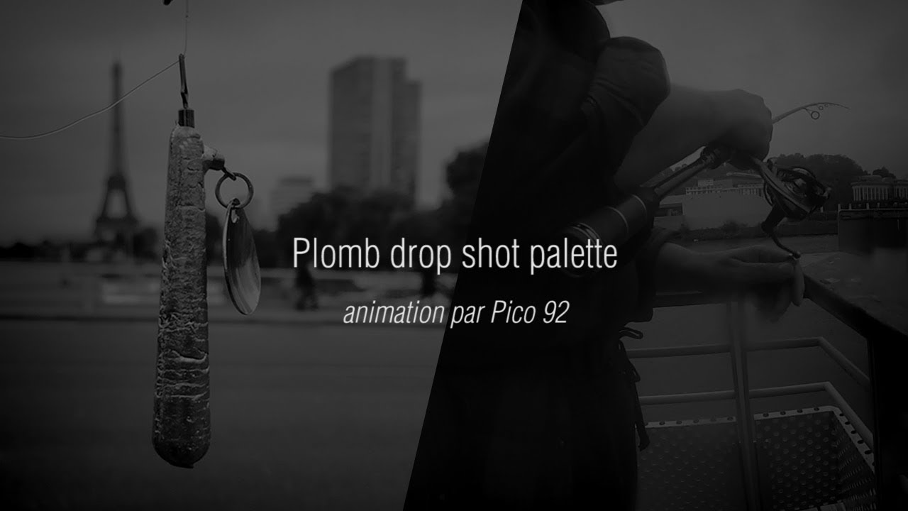 'Entretien' avec Pico 92 - Plomb Drop Palette animation et évolution sous l'eau