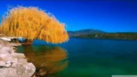 Judge Not (Jacob Prasch)