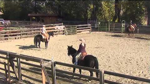 Peter Campbell Bits and Pieces from Dry Work in the Cow Working