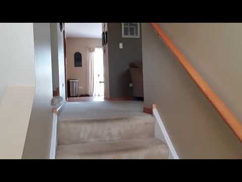 3472 Meadow Lily Dr, Joliet, IL home video tour