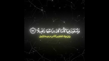 ويسقون فيها كأسا كان مزاجها زنجبيلا/ القارئ ياسر الدوسري #قرآن
