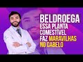 BELDROEGA: como usar essa planta para melhorar a saúde capilar!