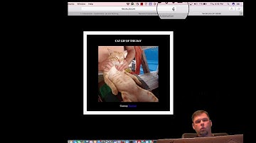 Network Policies for Kubernetes with Contiv