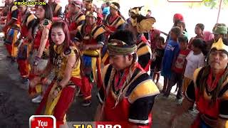 Download Lagu IWAK PEDA | KAULA MUDA LIVE SENGON KULON - TANJUNG - BREBES MP3