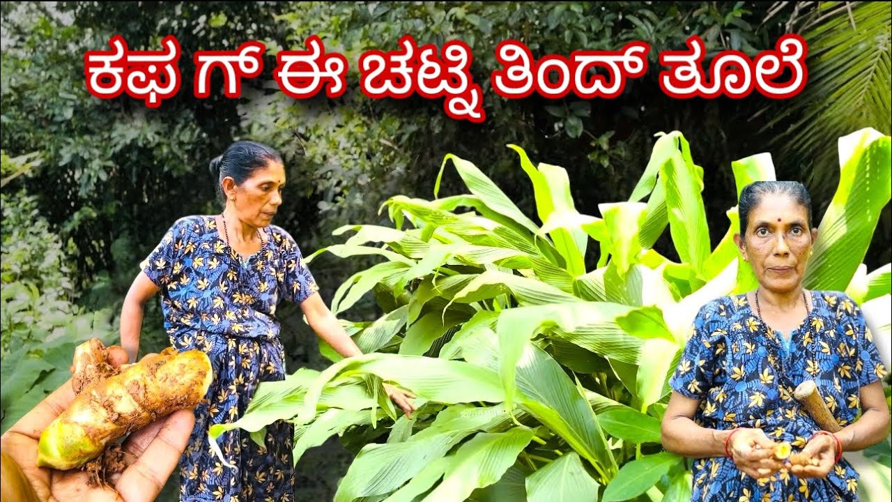 ಕಫ ಗ್ ಈ ಚಟ್ನಿ ತಿಂದ್ ತೂಲೆ  | Village Style Cooking #mangalore #kudla #tulu #tulurecipe #tuluvlog